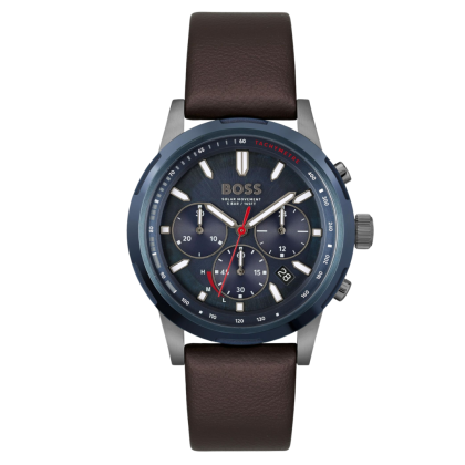 montre hugo boss 1514030
