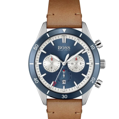 montre hugo boss 1513860